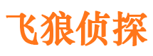 石柱婚外情调查取证